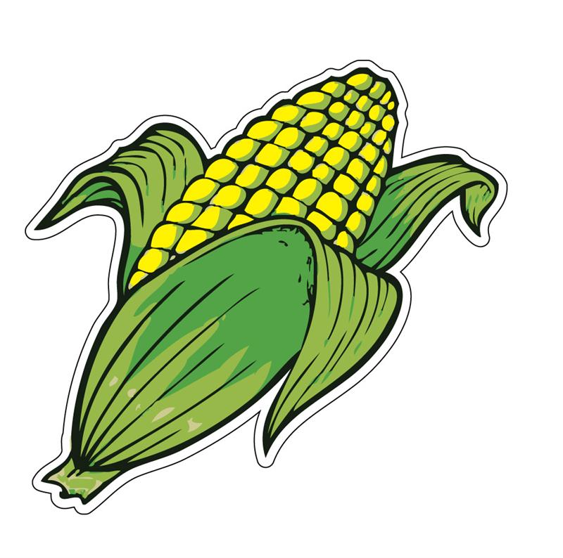 ... Corn On The Cob u0026midd - Corn On The Cob Clipart