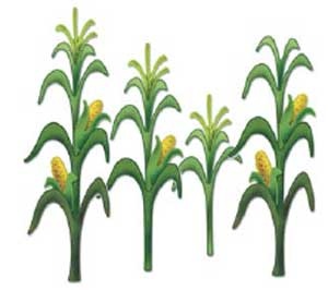 Corn stalks and Signs on . - Cornstalk Clipart