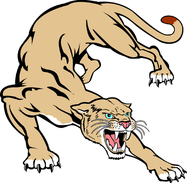 cougar mascot | Cougar Drawing Mascot Cougar team mascot color vinyl