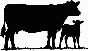 Cow Silhouette .