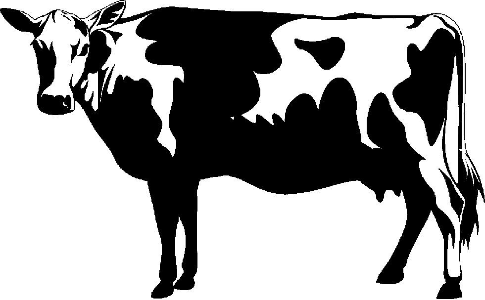 Cow Clip Art - Cattle Clipart
