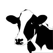 Cow; Portrait big black and white cow vector