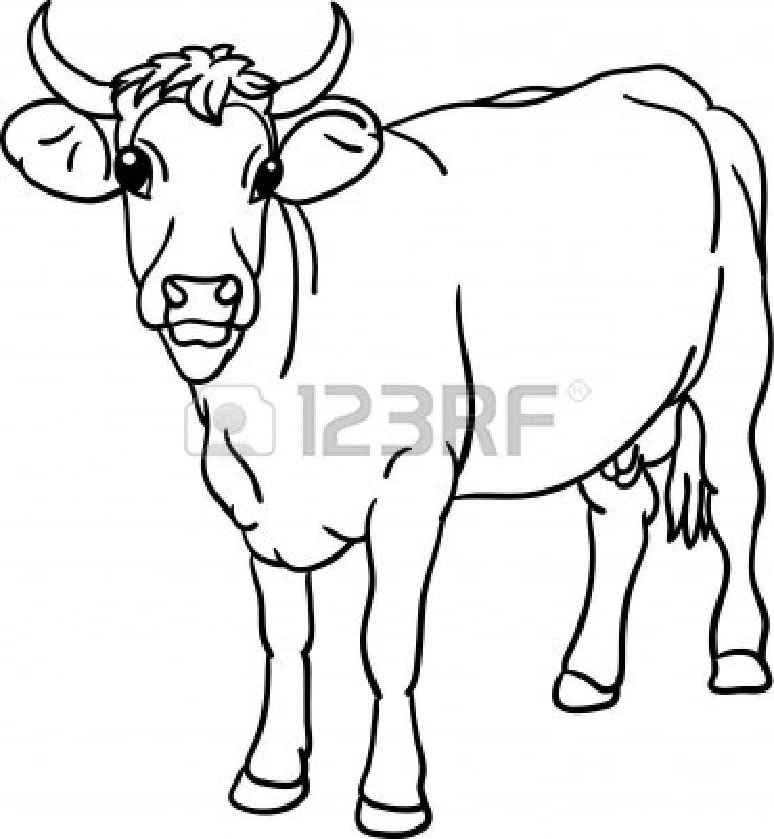 Beef Cow Drawing Clipart Pand