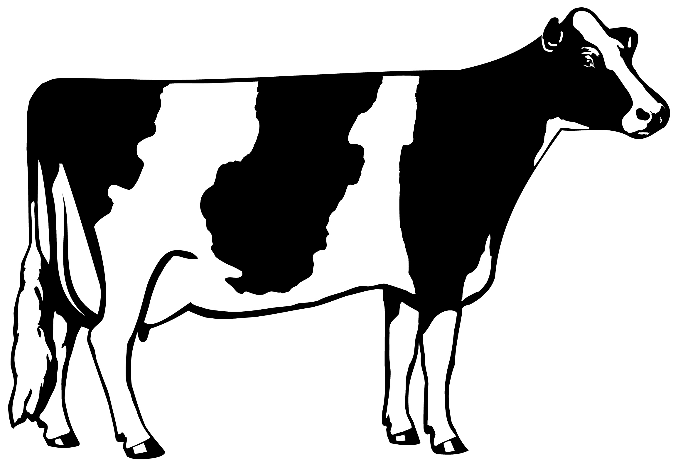 Clipart of cow silhouette