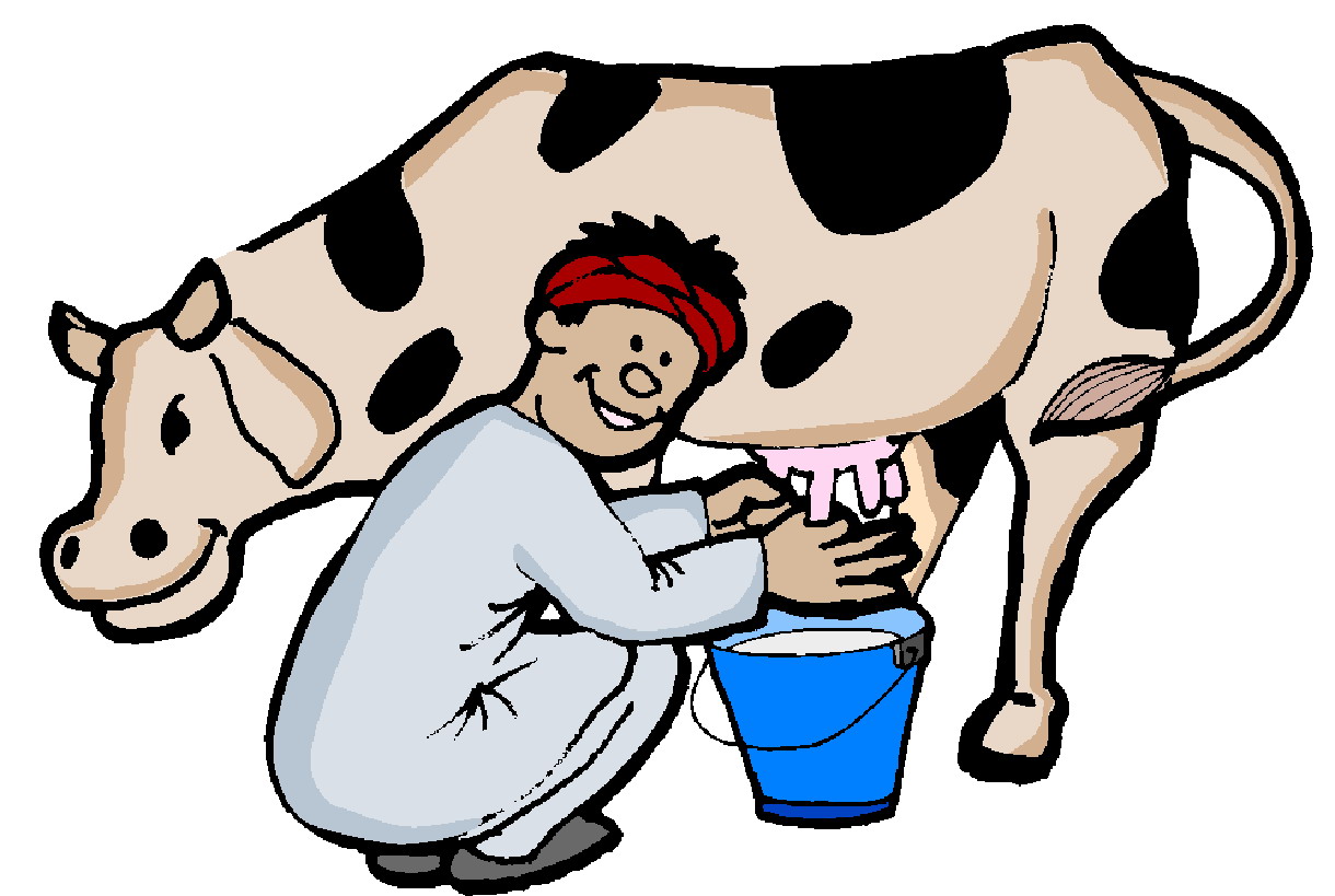 Cows clip art - Cows Clipart