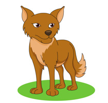 Coyote Clipart Size: 59 Kb