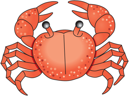 crab clipart