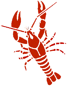 Vector image of Crayfish incl