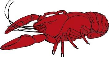 Crayfish clip art - Crayfish Clipart
