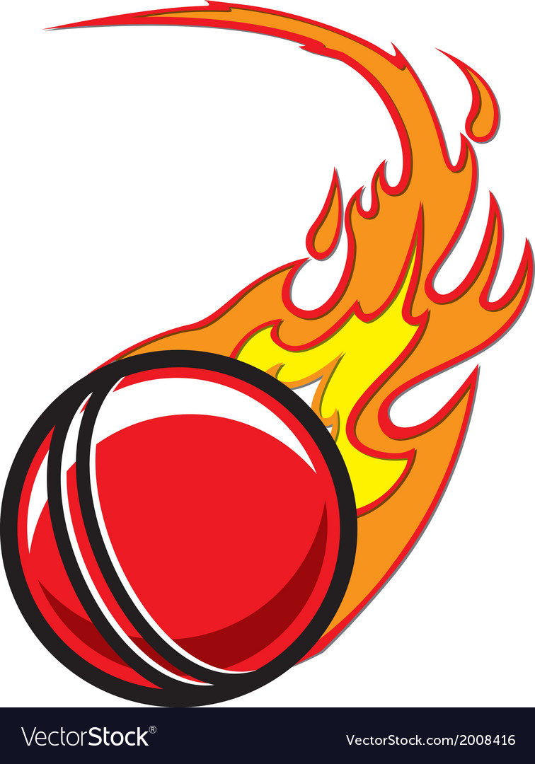 Flaming Cricket Ball vector image
