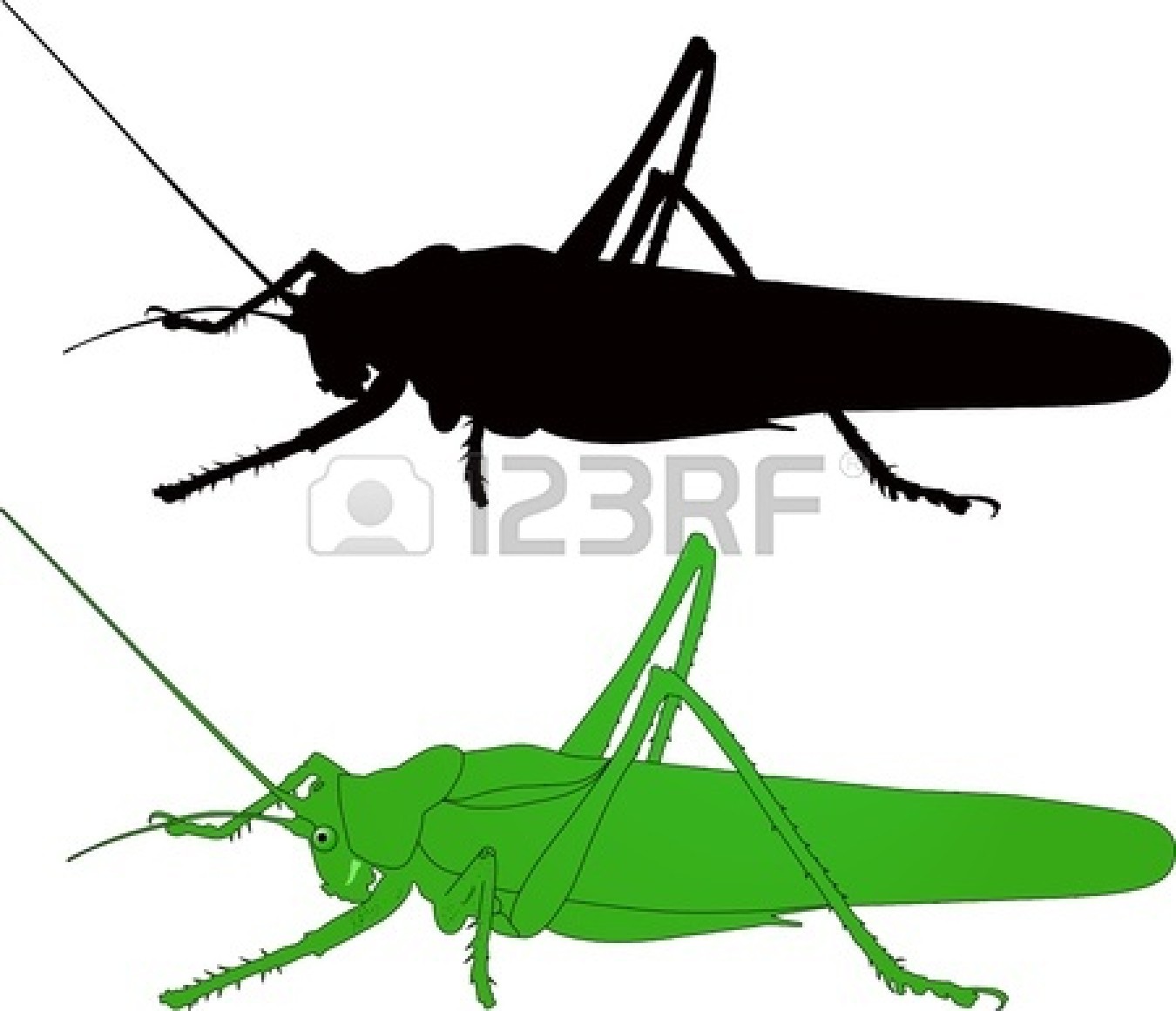 Cricket Insect Clipart - Cricket Insect Clipart