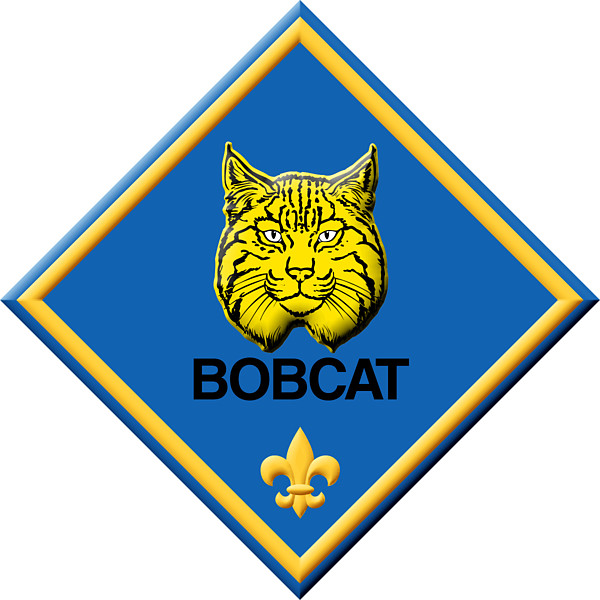 Cub scout bobcat clipart kid