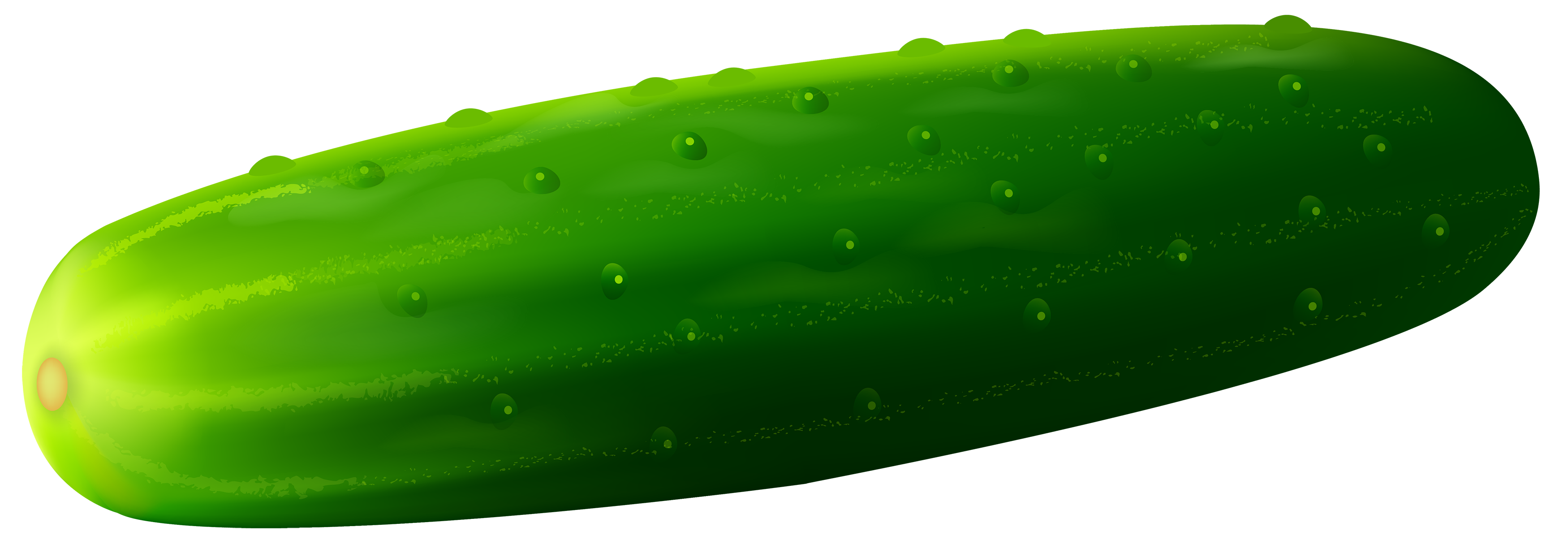 Cucumber clipart image web. C - Cucumber Clip Art