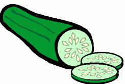 Watercolor cucumber- hand pai