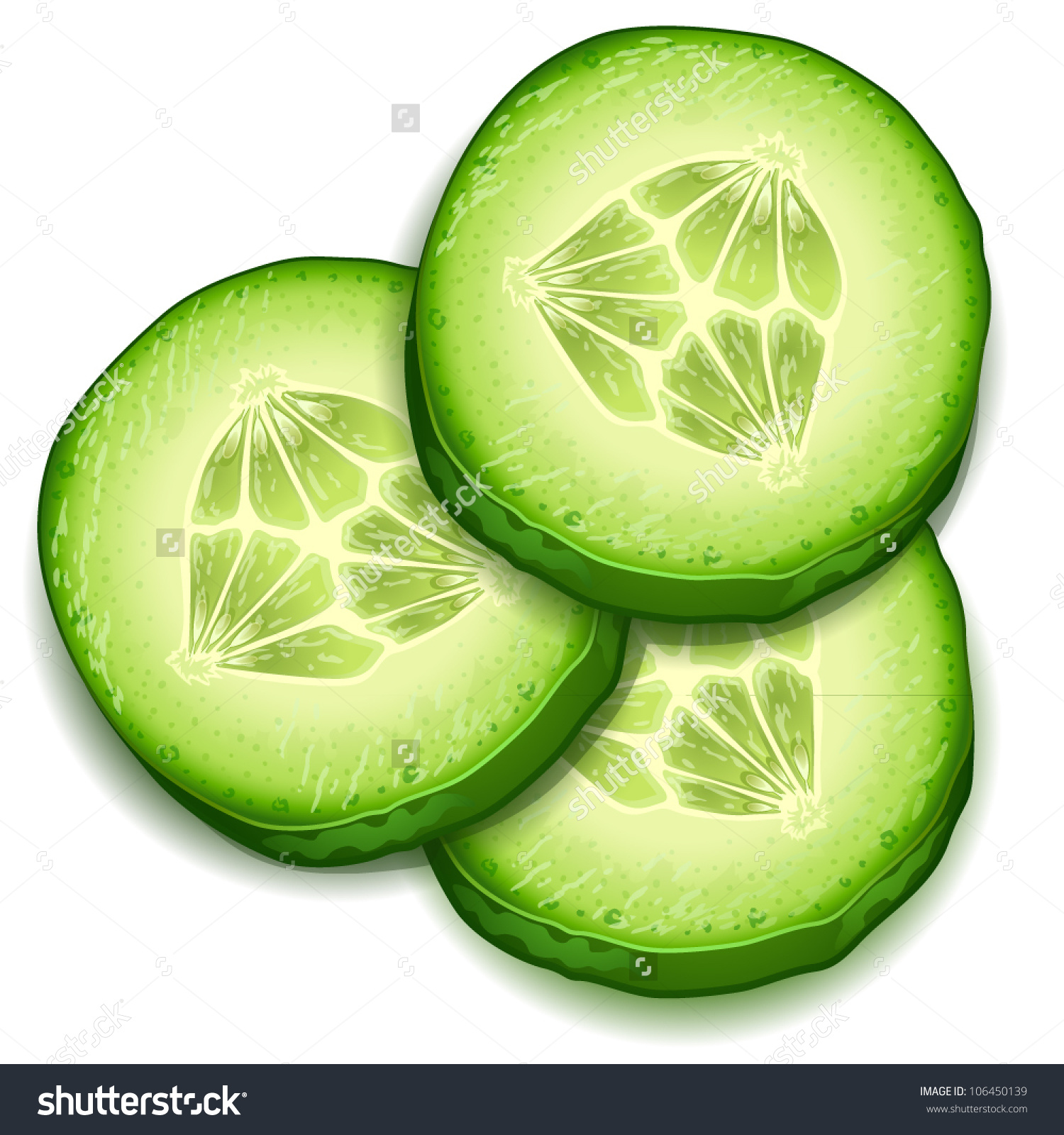 cucumber - illustration of cu