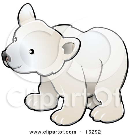 Curious White Arctic Polar Bear Cub Ursus Maritimus by AtStockIllustration