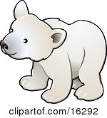 Curious White Arctic Polar Bear Cub Ursus Maritimus Clipart Illustration Image