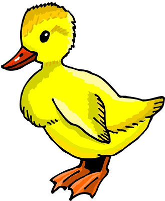 duck orange beak. Size: 39 Kb