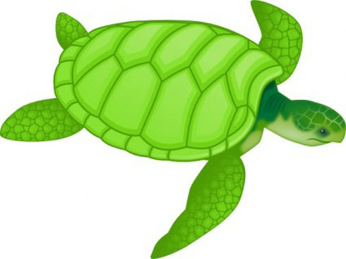 sea turtle: Cartoon sea turtl