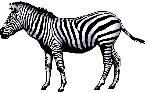 cute zebra clipart - Clip Art Zebra