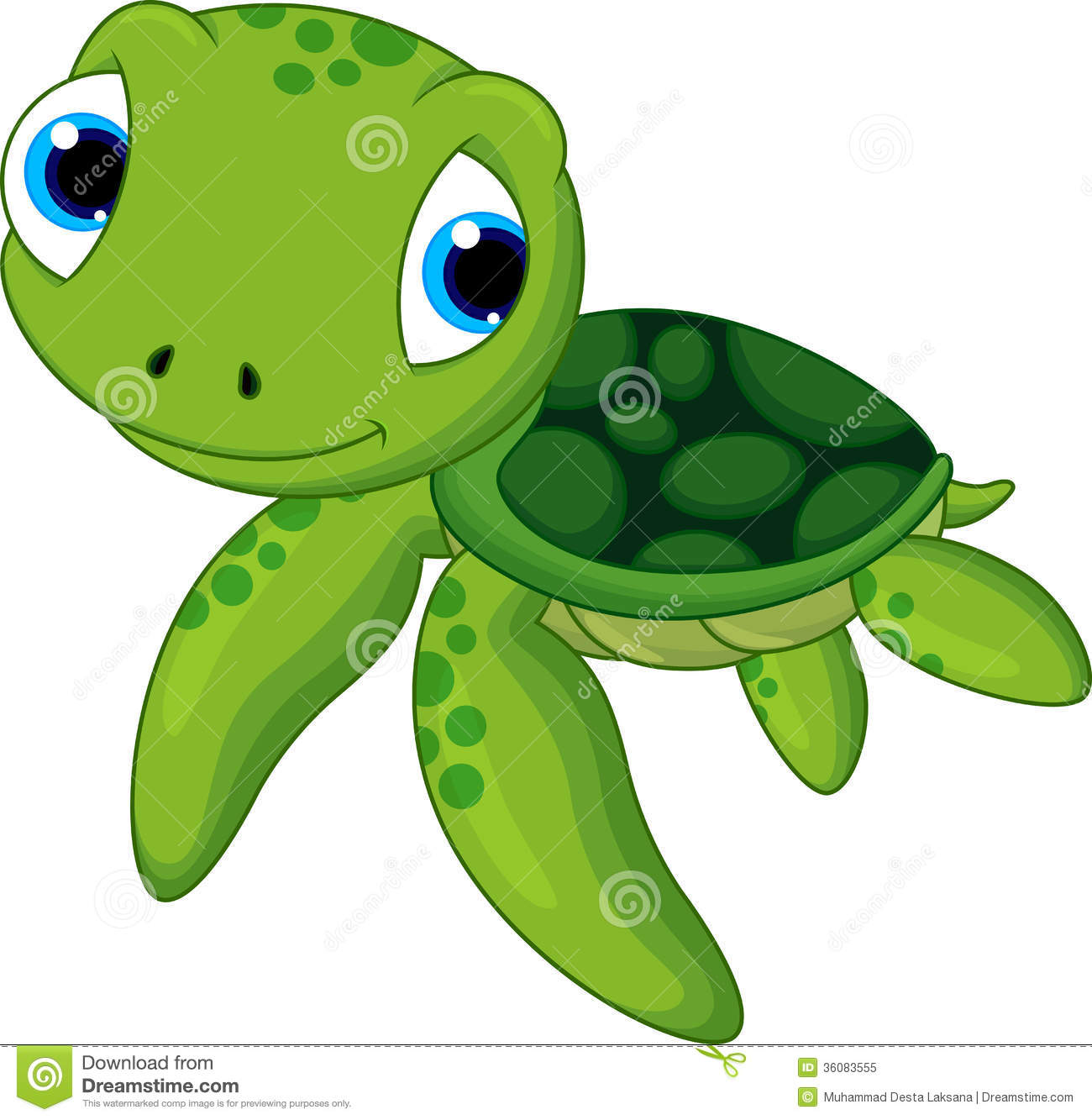 Lagger Head Sea Turtle For Be