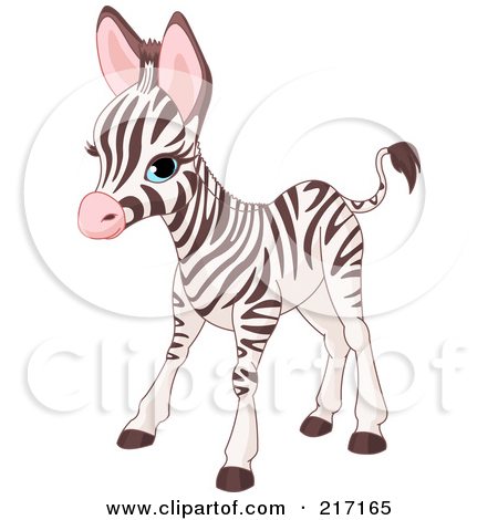 Cute Baby Zebra Standing by P - Baby Zebra Clipart