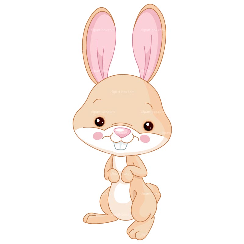 Cute bunny clipart
