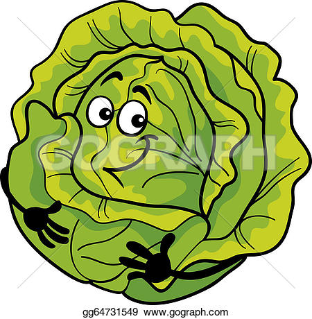 ... cute cabbage vegetable cartoon illustration