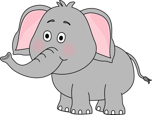 Baby elephant white elephant 