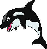 Cute realistic killer whale;  - Orca Clipart