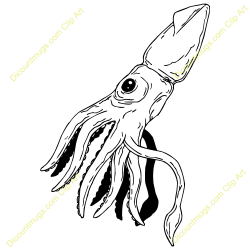 Royalty-Free (RF) Squid Clipa