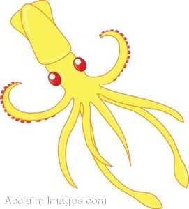Cute Squid Picture - Squid Clip Art