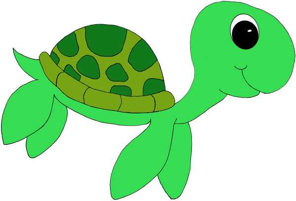 turtle Clip Art | Cute Green 