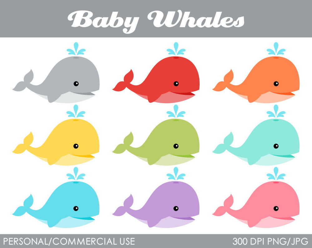 Baby killer whales clipart