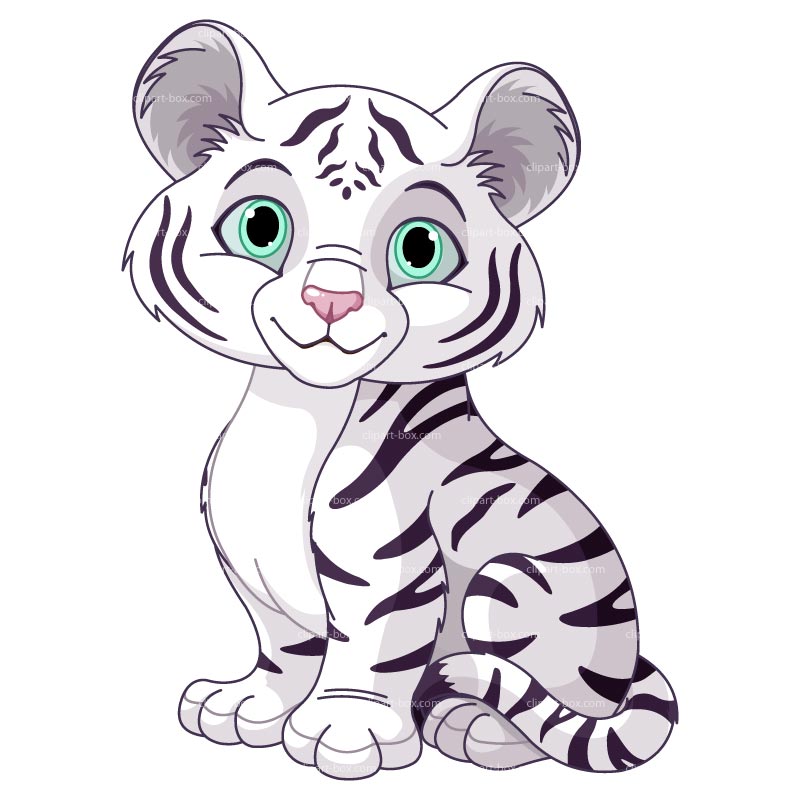Cute White Tiger Clipart. 100 - White Tiger Clipart