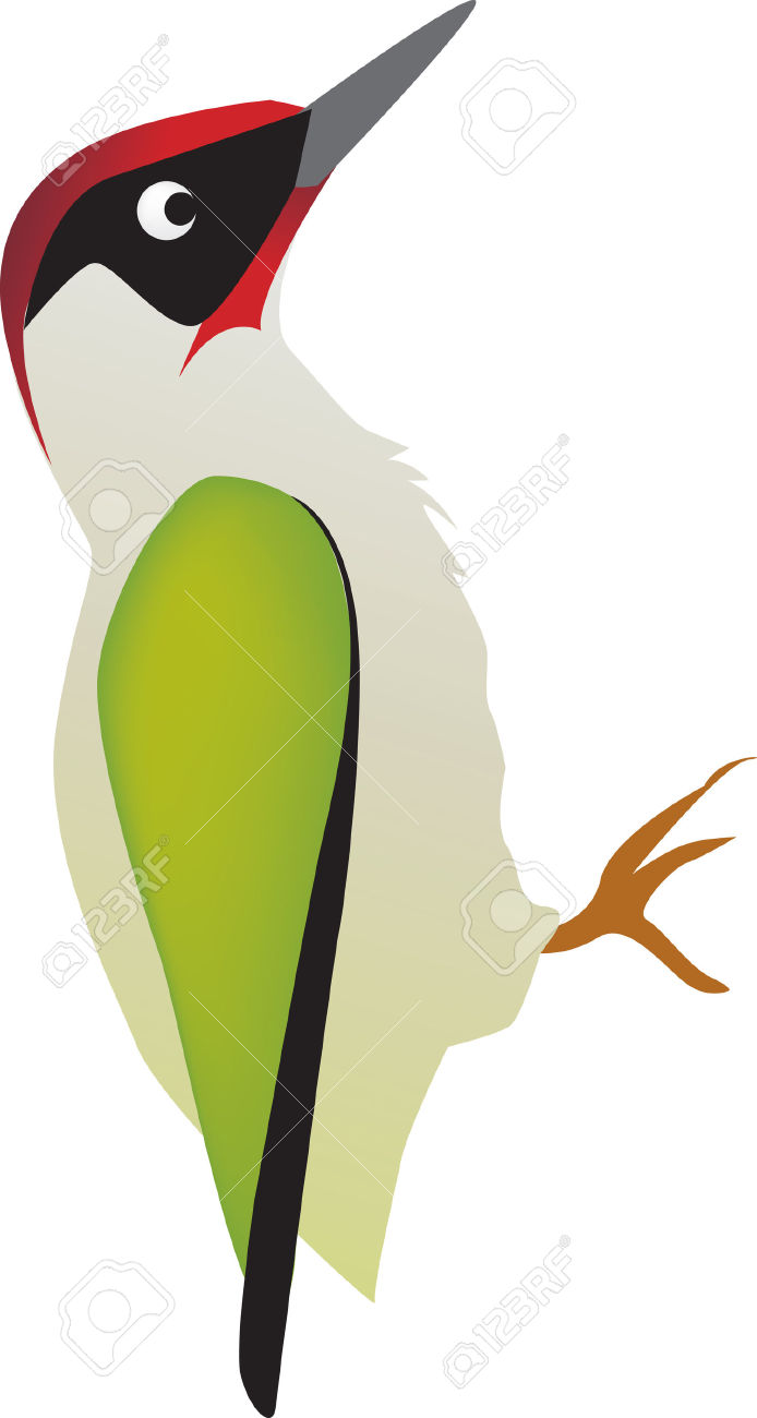 Cute Woodpecker Clipart - Woodpecker Clipart