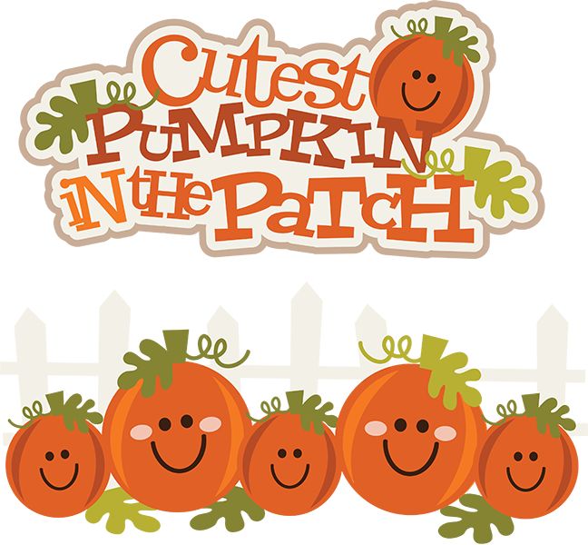 Cutest Pumpkin In The Patch P - Cute Pumpkin Clip Art