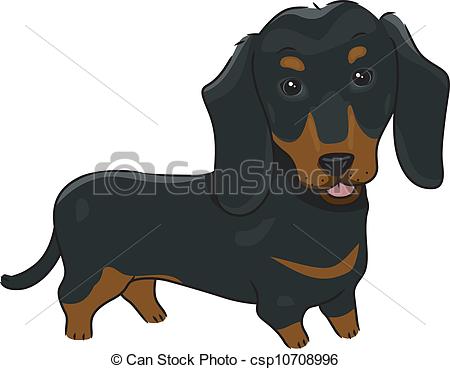 ... Dachshund - Illustration Featuring a Cute and Friendly.