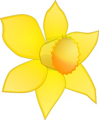 Daffodil - Daffodil Clip Art