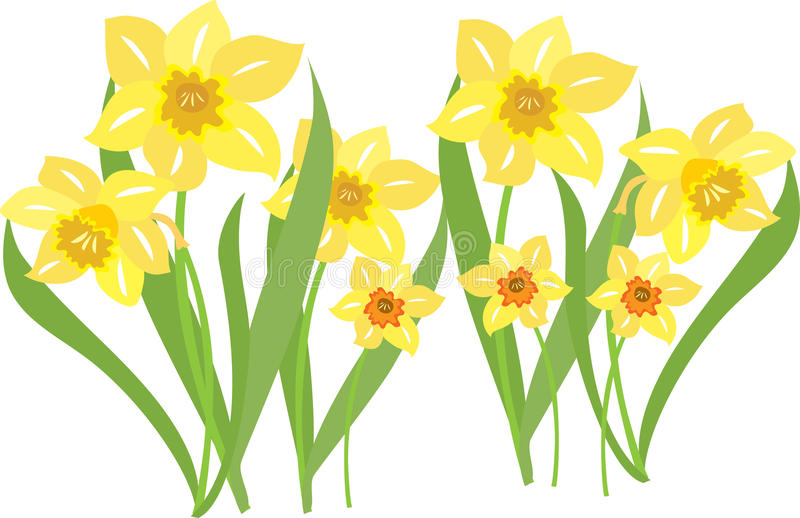 An illustration of daffodils swaying in the breeze