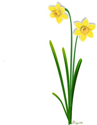 Clipart Daffodil by Brigitte. - Daffodils Clipart