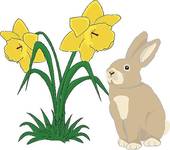 Daffodils; Bunny with daffodils