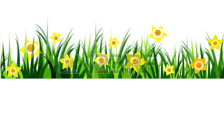 Green Grass seamless daffodils isolated clip art on white Vector