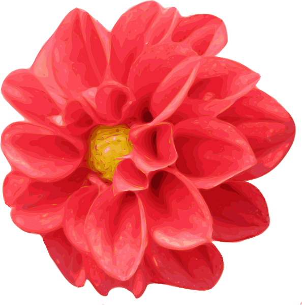 . ClipartLook.com free vector - Dahlia Clipart