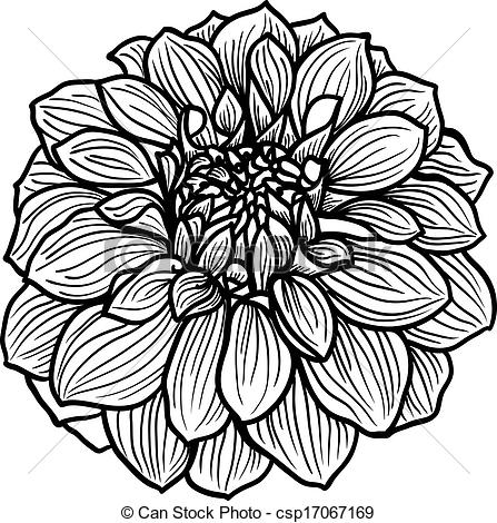 Dahlia Pink Clip Art at Clker