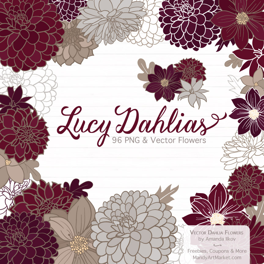 beautiful flower Dahlia drawn