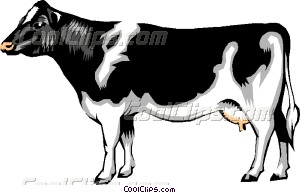 Dairy cow - Dairy Cow Clip Art