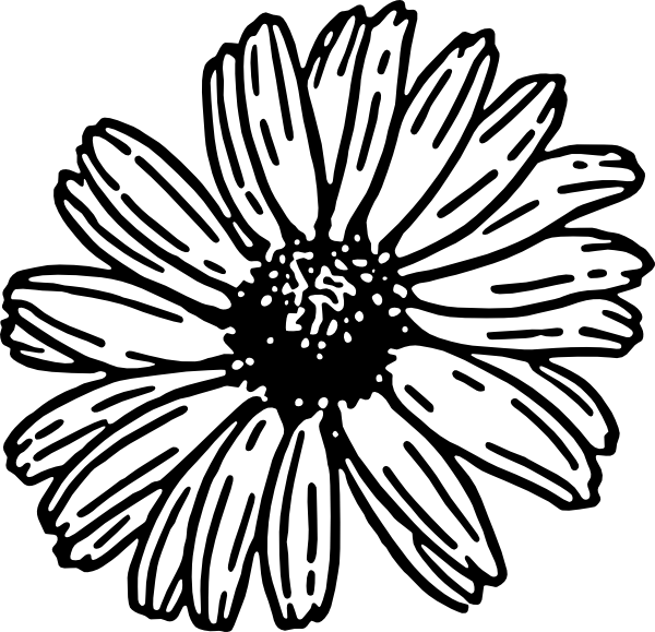 Image result for gerbera dais