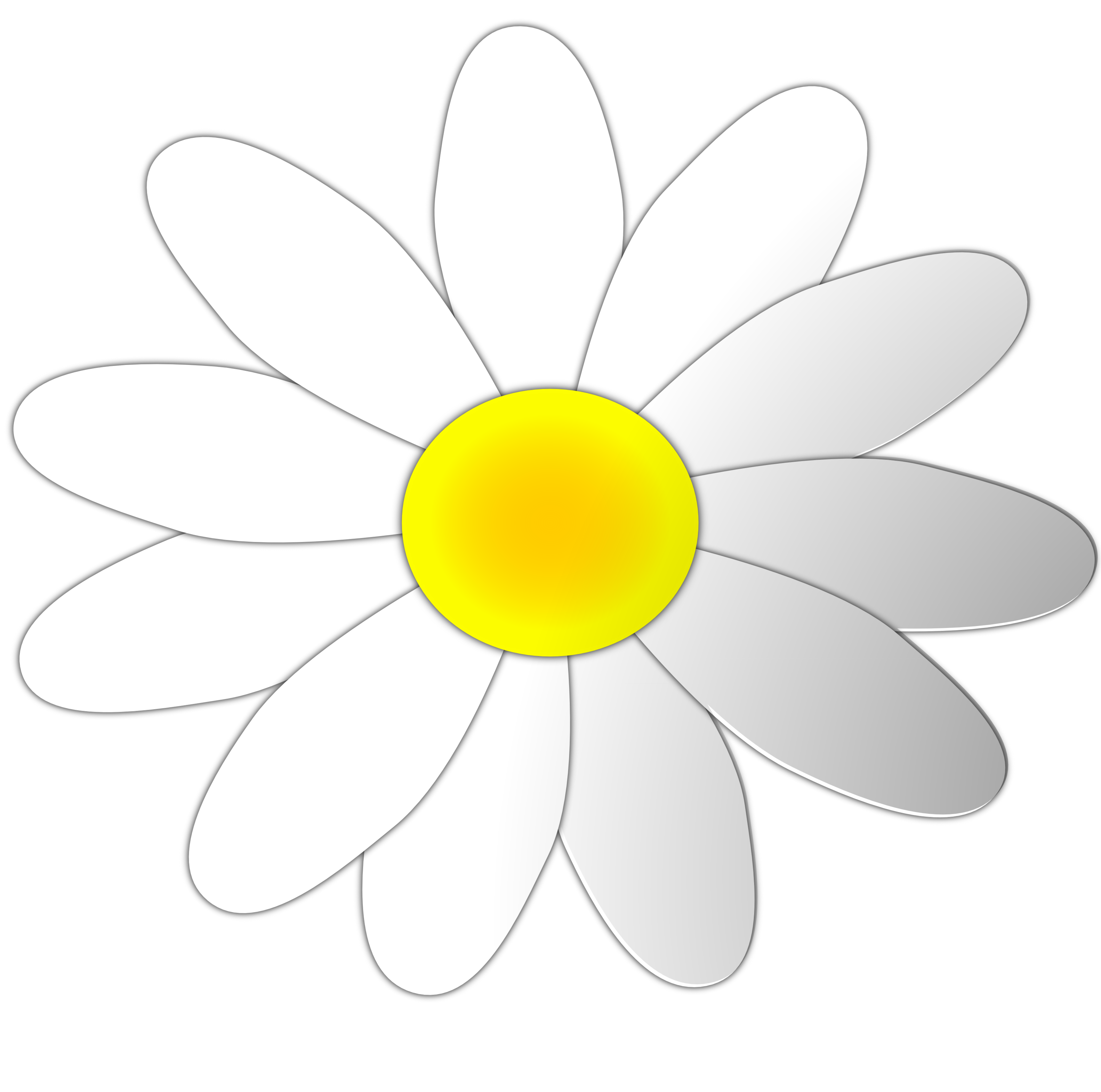 Black And Yellow Daisy Clip A