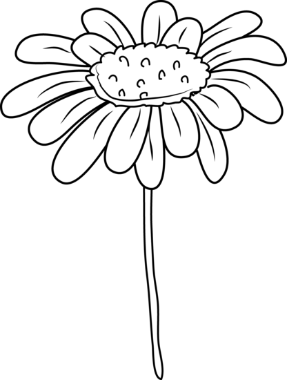 Daisy Flower Coloring Page - Daisy Clipart Black And White